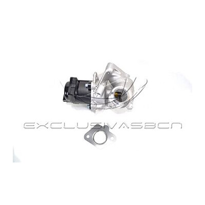 Valvola ricircolo gas scarico-EGR