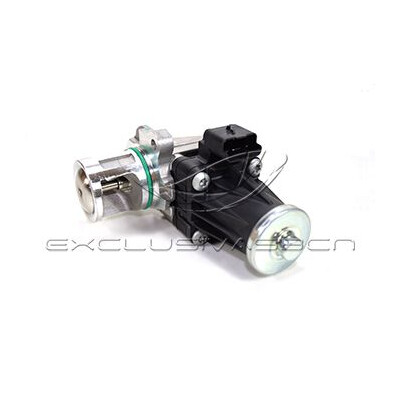 Valvola ricircolo gas scarico-EGR