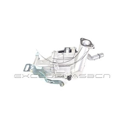 Valvola ricircolo gas scarico-EGR