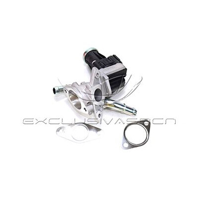 Valvola ricircolo gas scarico-EGR