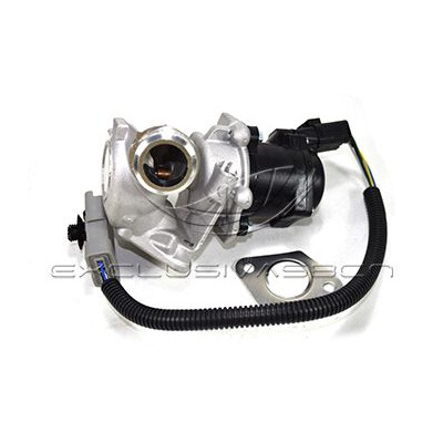 Valvola ricircolo gas scarico-EGR