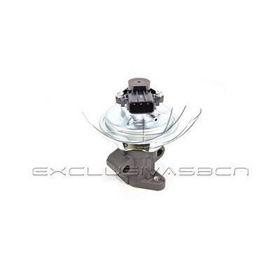 Valvola ricircolo gas scarico-EGR