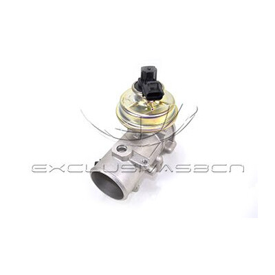 Valvola ricircolo gas scarico-EGR