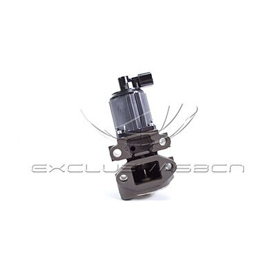 Valvola ricircolo gas scarico-EGR