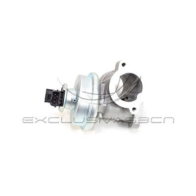 Valvola ricircolo gas scarico-EGR