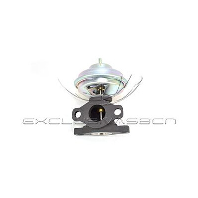 Valvola ricircolo gas scarico-EGR