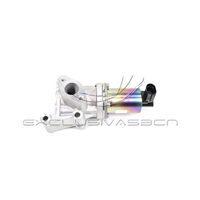 Valvola ricircolo gas scarico-EGR