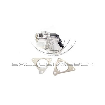 Valvola ricircolo gas scarico-EGR