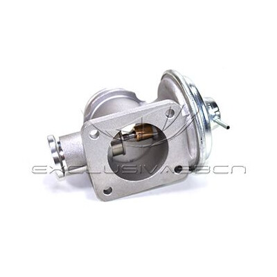 Valvola ricircolo gas scarico-EGR