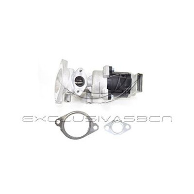 Valvola ricircolo gas scarico-EGR