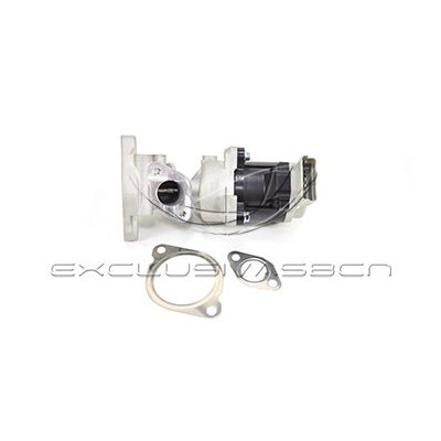 Valvola ricircolo gas scarico-EGR