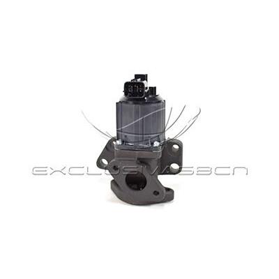 Valvola ricircolo gas scarico-EGR