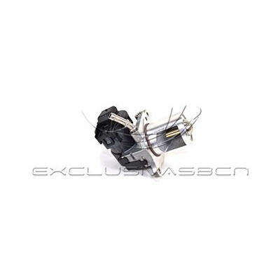 Valvola ricircolo gas scarico-EGR