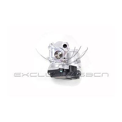 Valvola ricircolo gas scarico-EGR