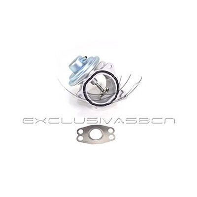 Valvola ricircolo gas scarico-EGR
