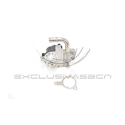 Valvola ricircolo gas scarico-EGR