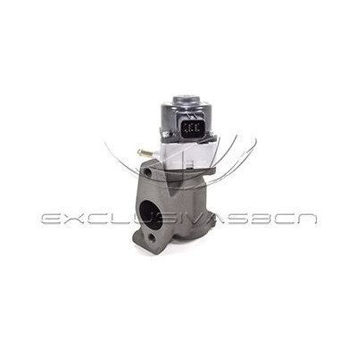 Valvola ricircolo gas scarico-EGR