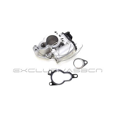 Valvola ricircolo gas scarico-EGR