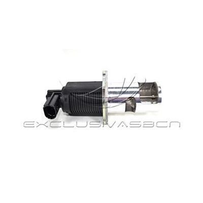 Valvola ricircolo gas scarico-EGR