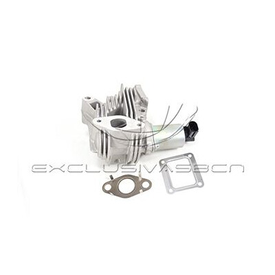 Valvola ricircolo gas scarico-EGR