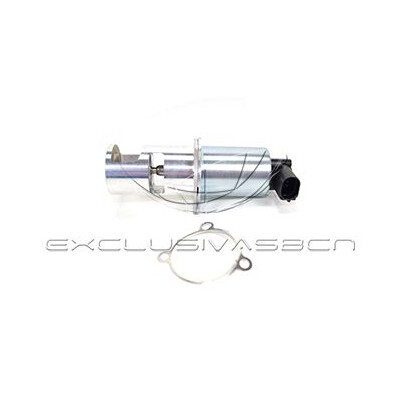 Valvola ricircolo gas scarico-EGR