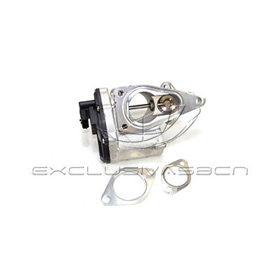 Valvola ricircolo gas scarico-EGR