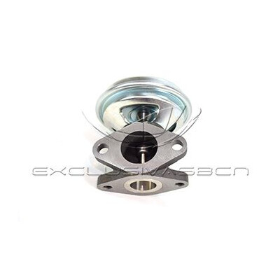 Valvola ricircolo gas scarico-EGR