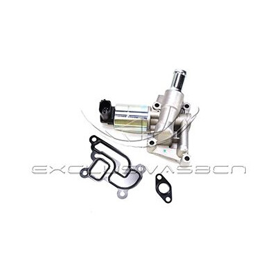 Valvola ricircolo gas scarico-EGR