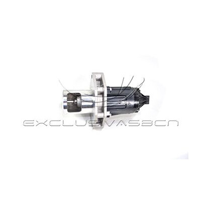 Valvola ricircolo gas scarico-EGR