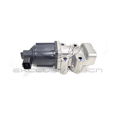 Valvola ricircolo gas scarico-EGR