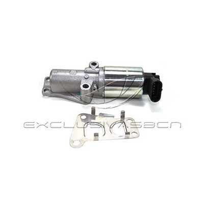 Valvola ricircolo gas scarico-EGR