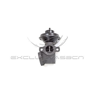 Valvola ricircolo gas scarico-EGR