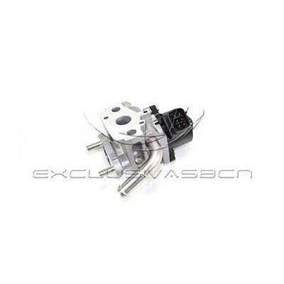 Valvola ricircolo gas scarico-EGR