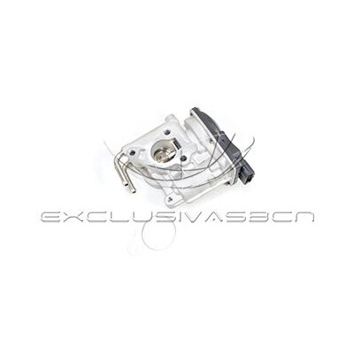 Valvola ricircolo gas scarico-EGR