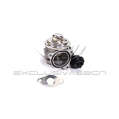 Valvola ricircolo gas scarico-EGR