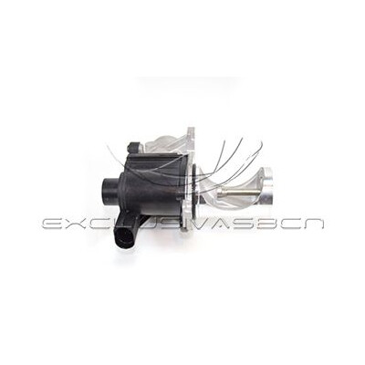 Valvola ricircolo gas scarico-EGR