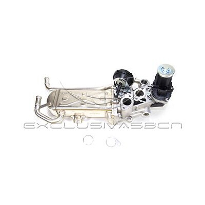 Valvola ricircolo gas scarico-EGR