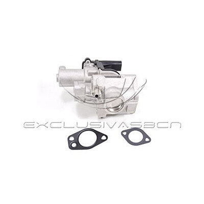 Valvola ricircolo gas scarico-EGR
