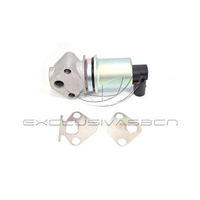 Valvola ricircolo gas scarico-EGR