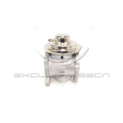 Valvola ricircolo gas scarico-EGR