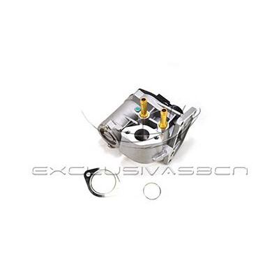 Valvola ricircolo gas scarico-EGR