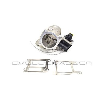Valvola ricircolo gas scarico-EGR