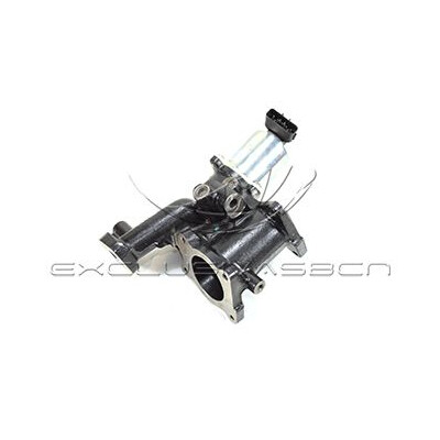 Valvola ricircolo gas scarico-EGR