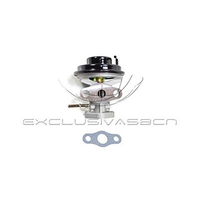 Valvola ricircolo gas scarico-EGR