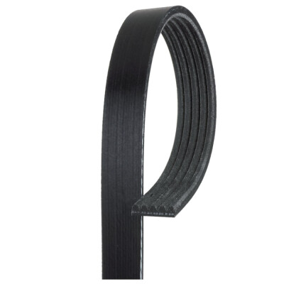 Cinghia Poly-V