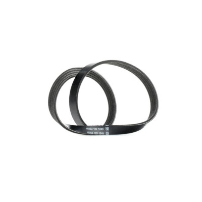 Cinghia trapezoidale scanalata DAYCO 4PK830EE