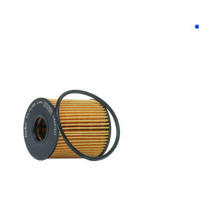 Controllo del filtro dell'olio EEOB0001Y