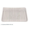 Filtro aria Blueprint ADBP220125