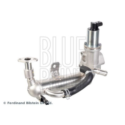 Modulo EGR