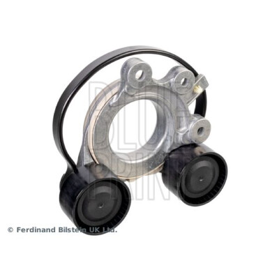 Tendicinghia, Cinghia Poly-V
